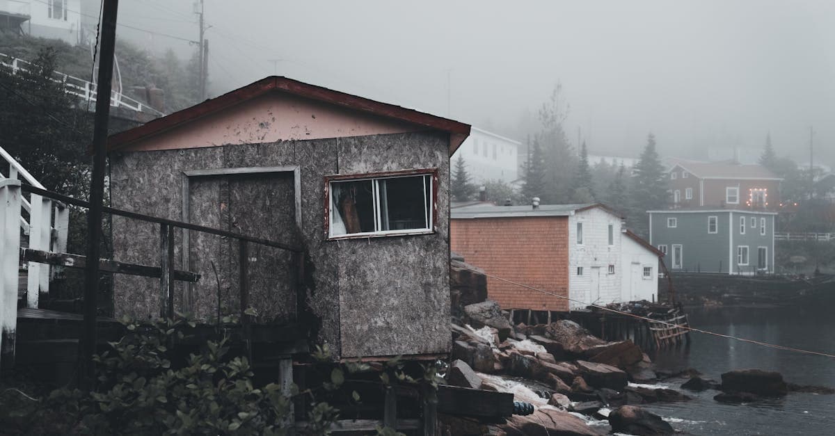 Cover Image for The Haunting Allure of Abandoned Homes