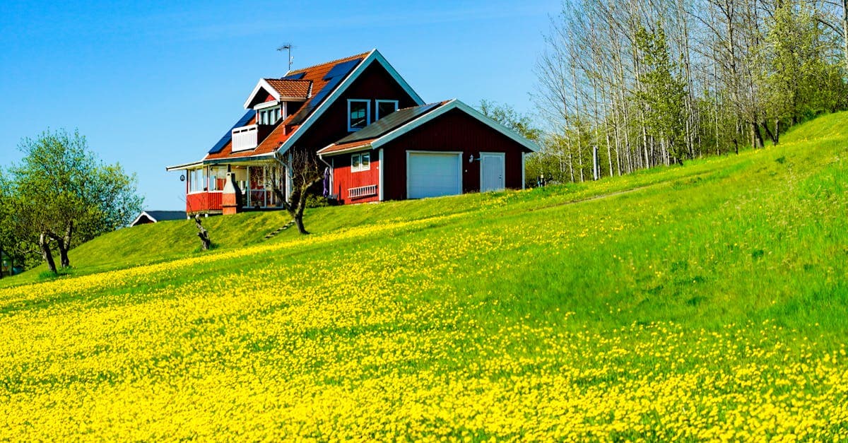 Cover Image for Embracing Homestead Living: A Journey to Sustainability